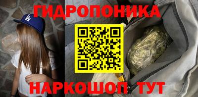 МДПВ Партизанск