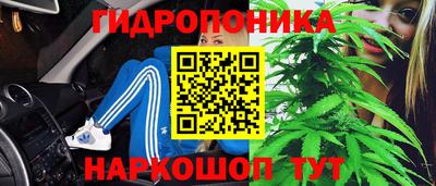 гидропоника Обнинск