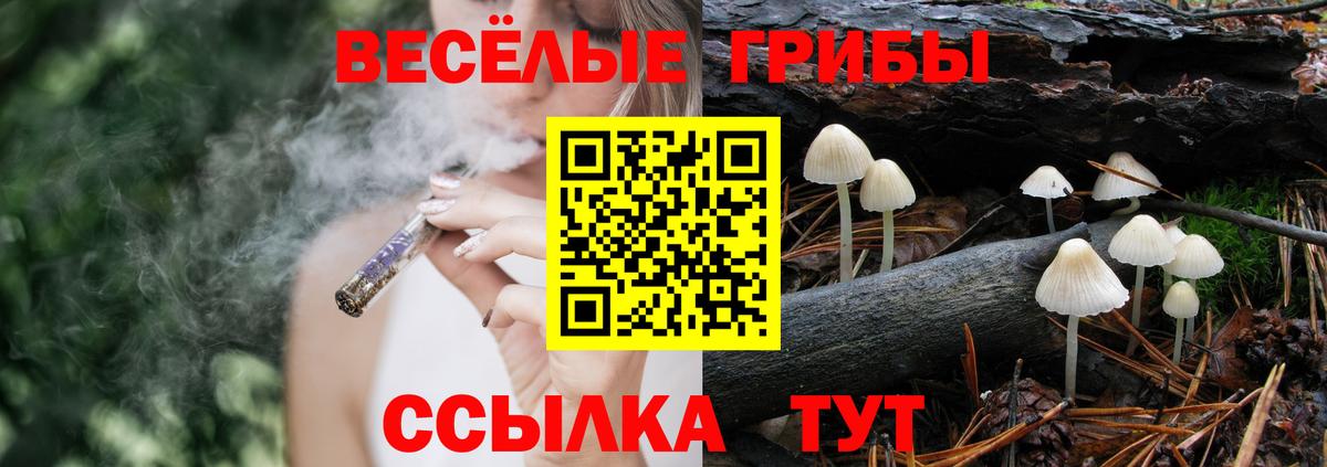 Сургут  Галлюциногенные грибы Psilocybe  Вход с VPN 